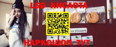 ПСИЛОЦИБИНОВЫЕ ГРИБЫ Дубна