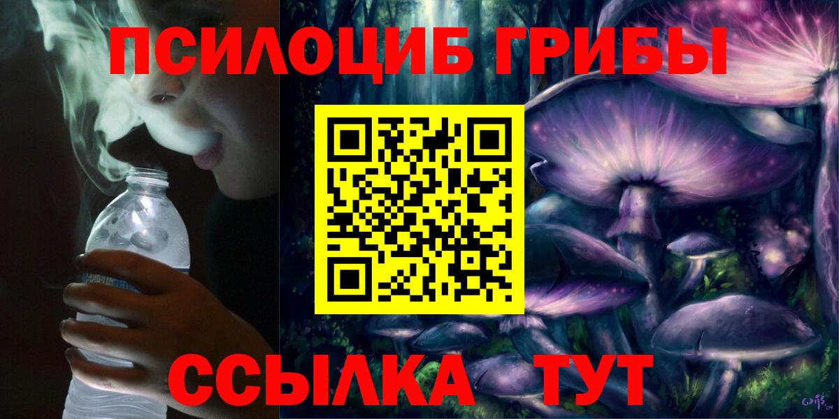 Псилоцибиновые грибы Magic Shrooms  Вход с VPN  Минусинск  купить  сайты  Псилоцибиновые грибы Magic Shrooms 